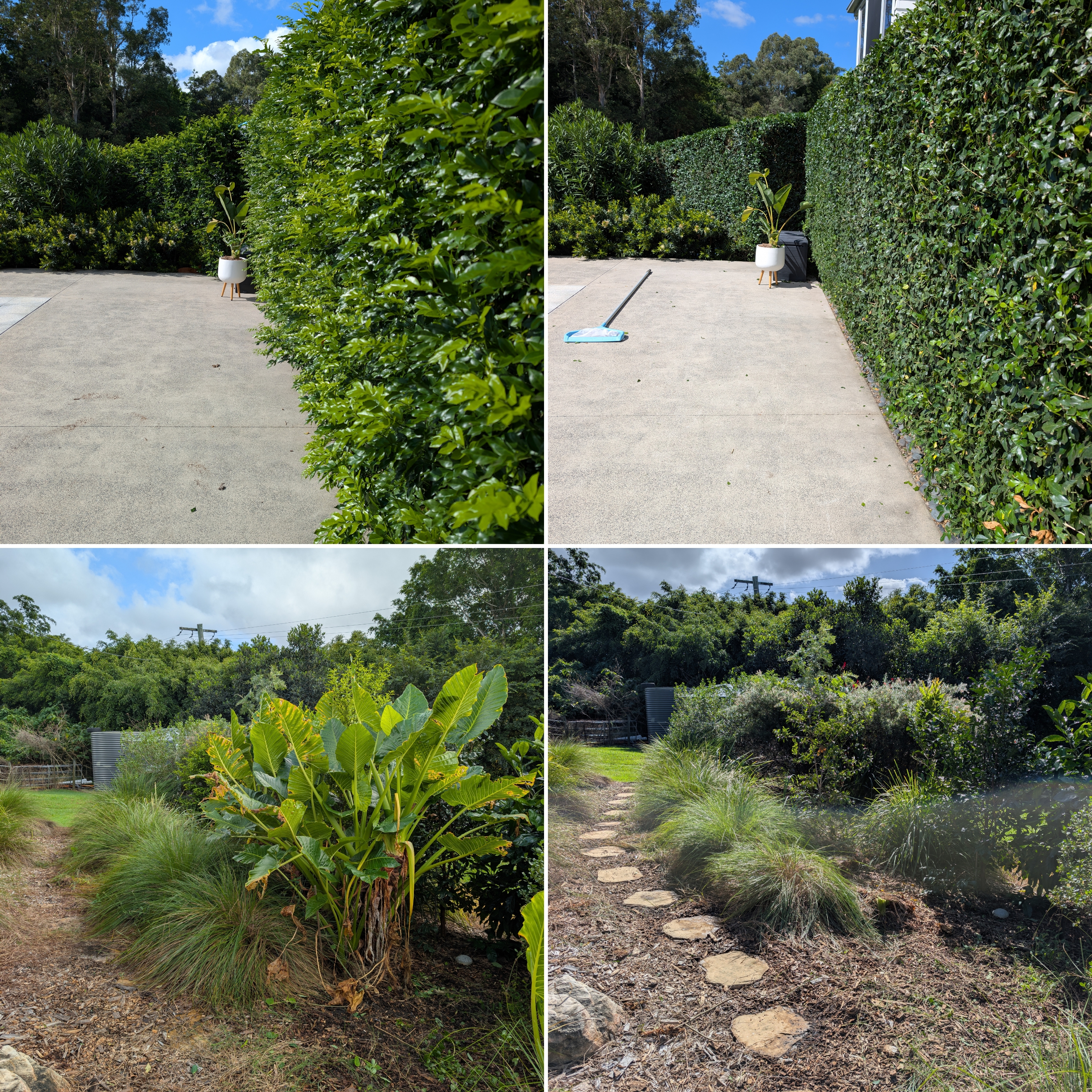 Before & After — Job 1