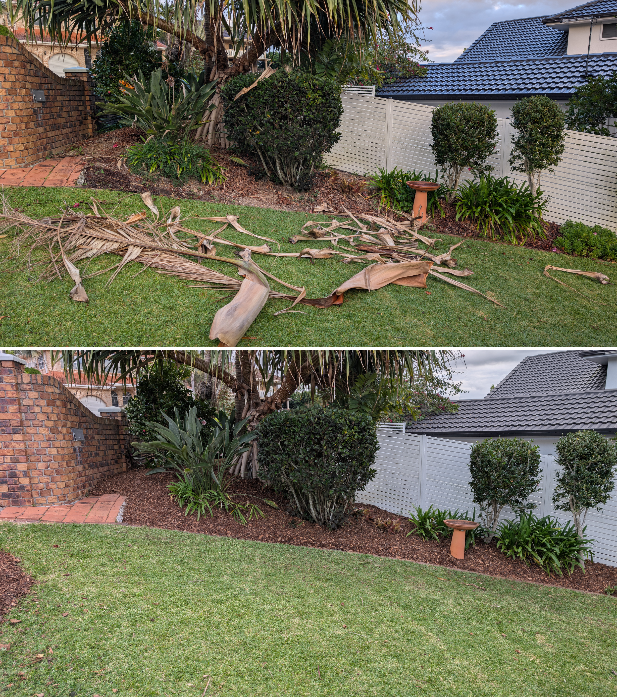 Before & After
